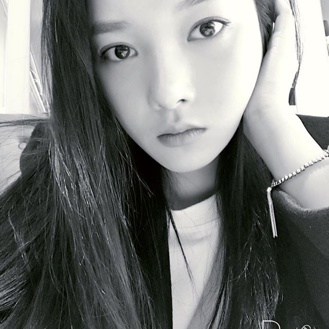 DSP에서 새로 나오는 신인 혼성그룹 | 인스티즈