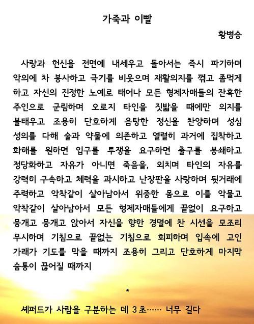 국문과 전공자가 쓰는 시란 무엇인가?(feat.시팔이 하상욱씨 논란으로 깜놀해서 쓰는 글) +추가 + 추가 | 인스티즈