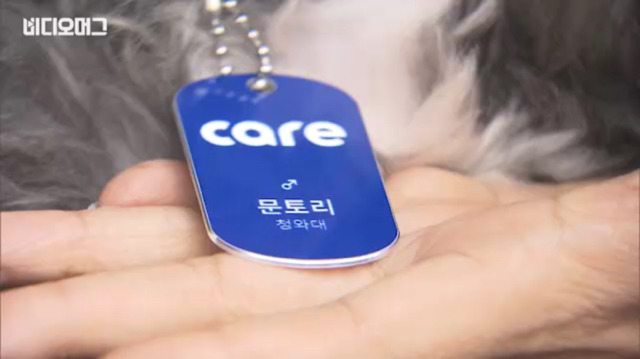 토리가 새마약방석이 맘에 들었나보다(영상） | 인스티즈