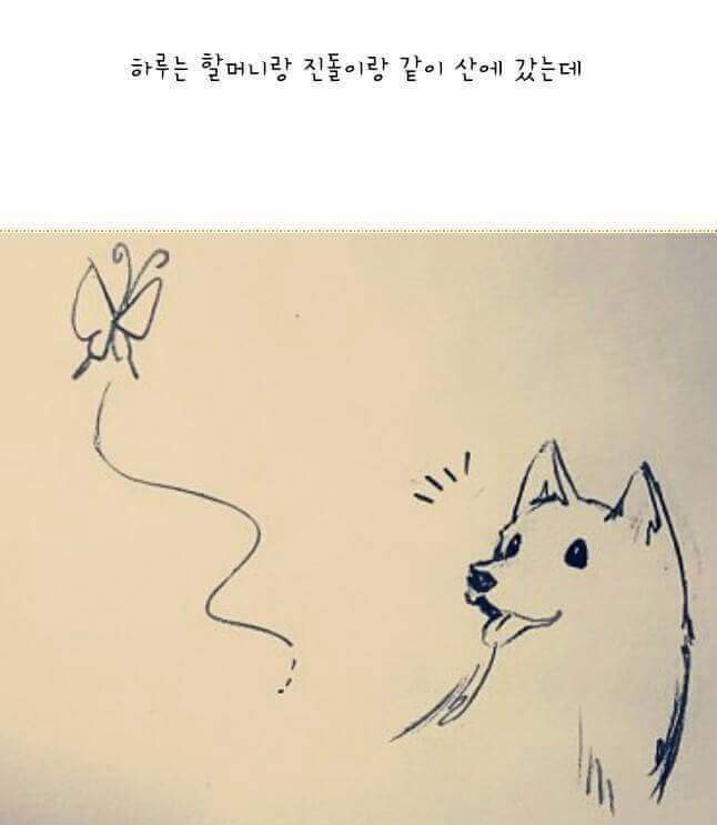 이 이야기는 실화입니다 | 인스티즈
