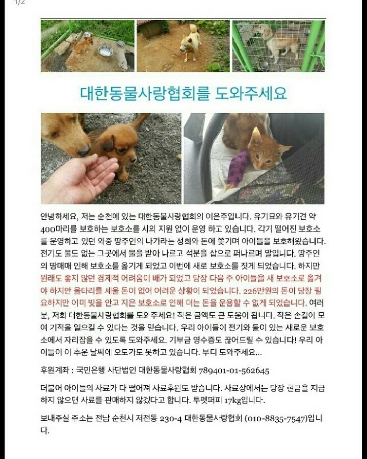 집에 아이들이 안먹는 사료 보내주세요 | 인스티즈