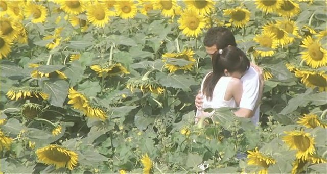 주말에 볼만한 일본 영화 .jpg | 인스티즈