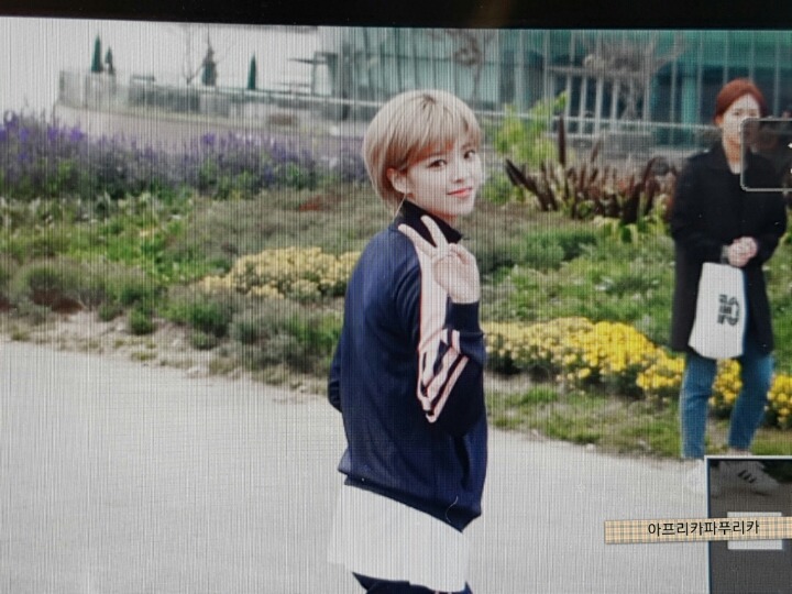 오늘자 트와이스 | 인스티즈