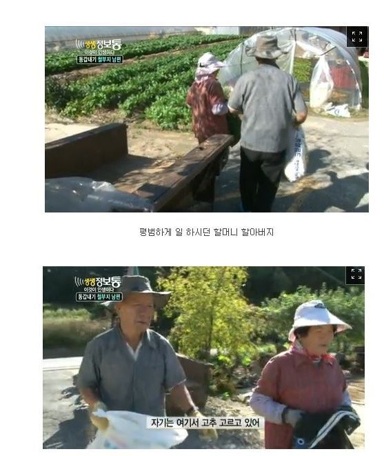 생생정보통 레전드 | 인스티즈