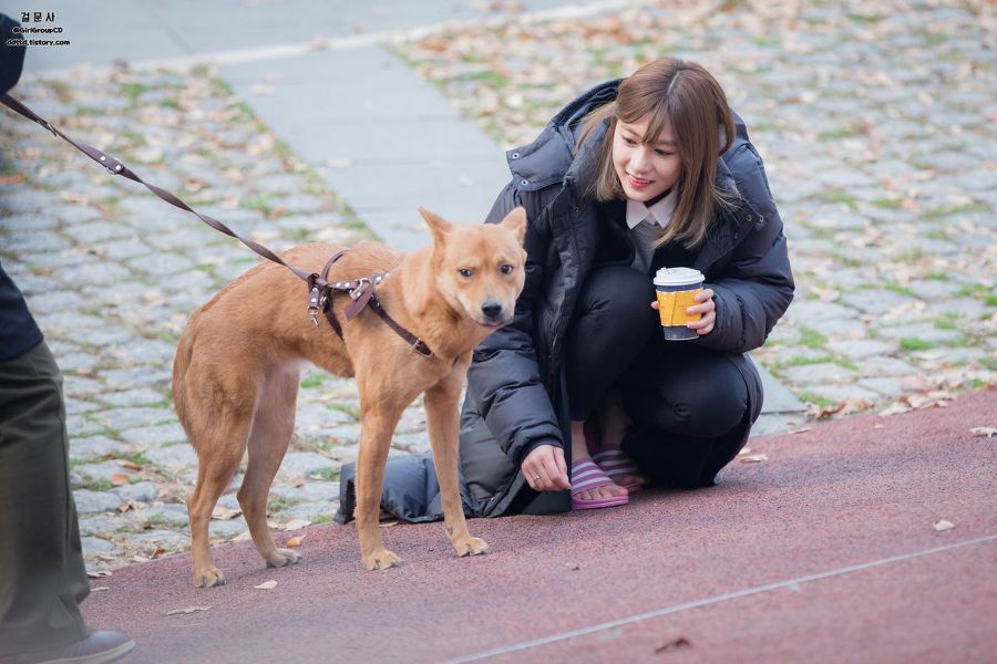 당하는 오하영 | 인스티즈