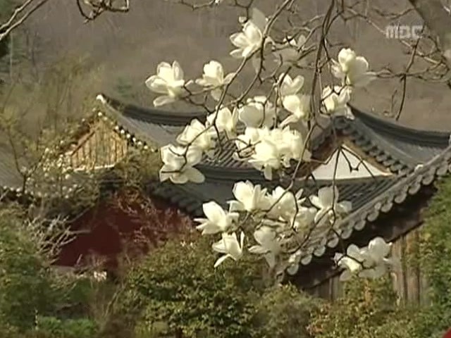 [거침없이하이킥] 봄바람 난 문희 | 인스티즈