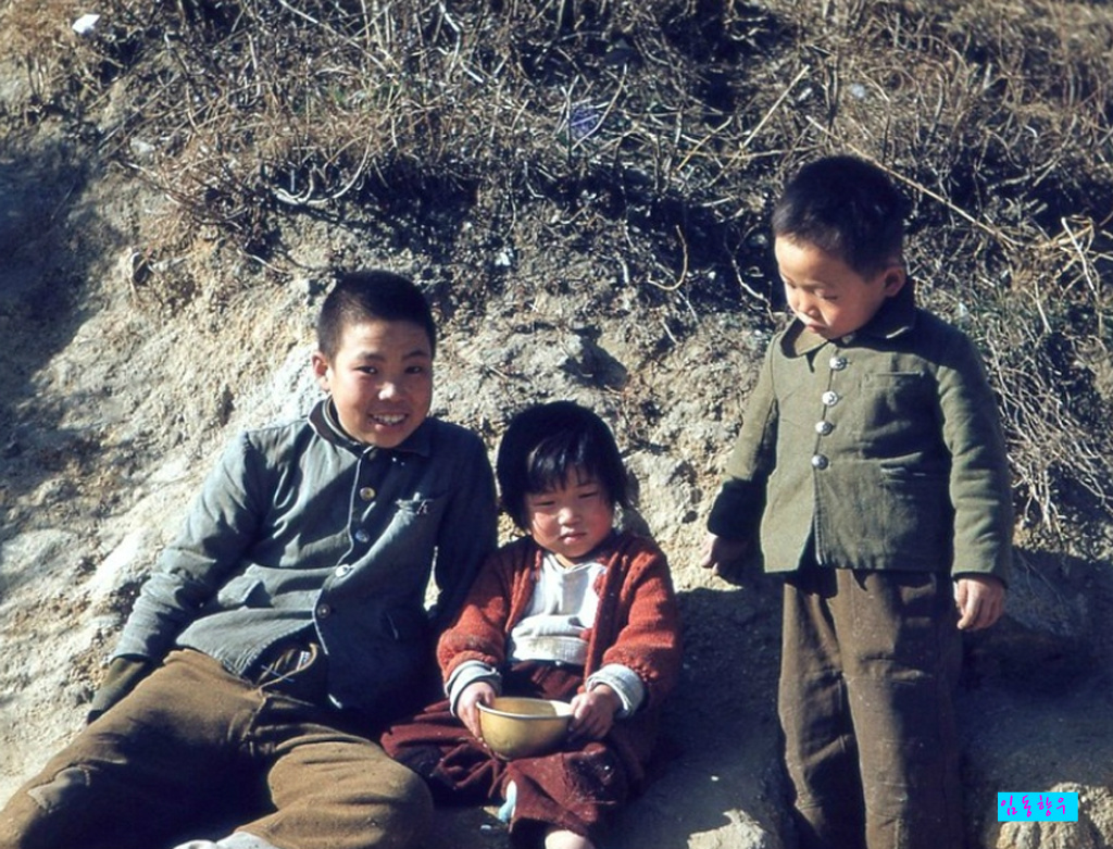 진달래먹고물장구치고 이미지