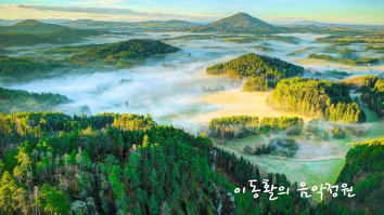 앨리사 이미지