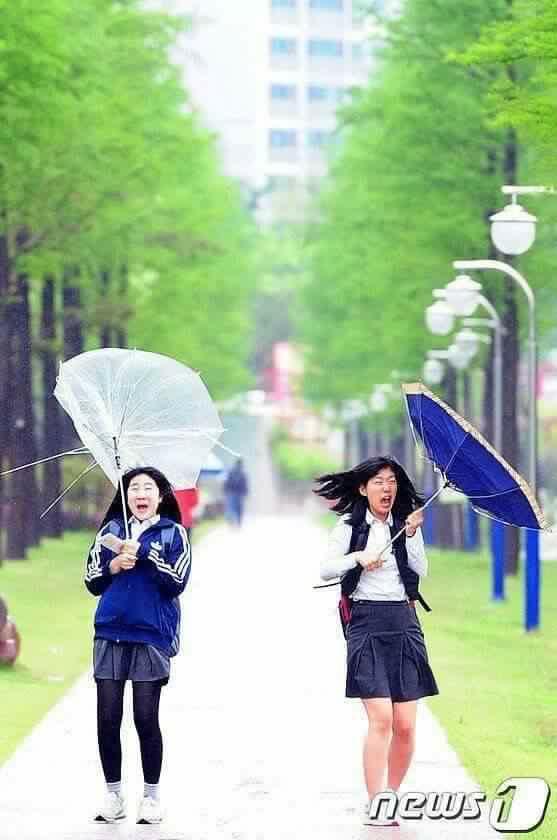 강풍 이미지