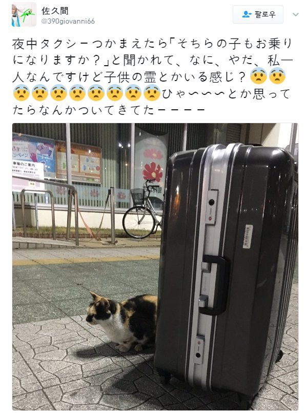 [일본] 한밤중 택시를 타려다.... | 인스티즈