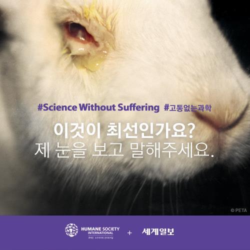 저를 죽이기 전에 눈을 한번 봐주세요(혐오주의) | 인스티즈