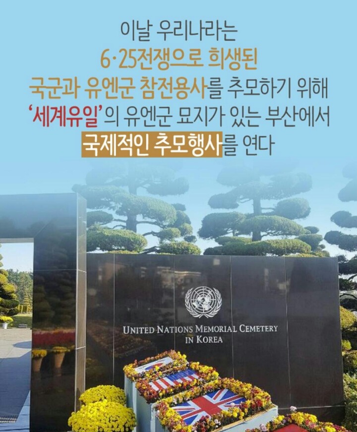 와리바시 이미지