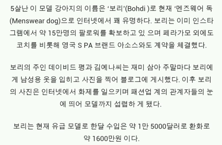 1년에 2억 버는 강아지 | 인스티즈