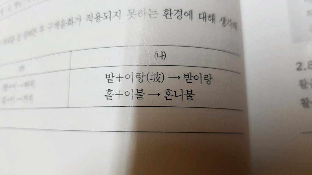 밭이랑반니랑 이미지
