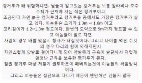 보기보다 훨씬 더 위험한 생물들 (혐오주의) | 인스티즈