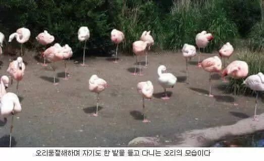 오 이게 여기 규칙인가? | 인스티즈