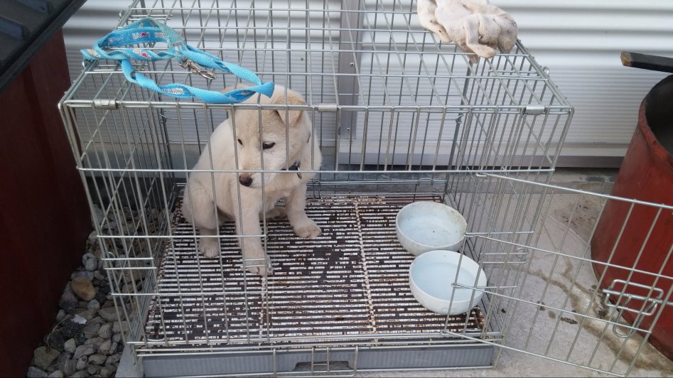 도심에서 즐기는 전원생활 | 인스티즈