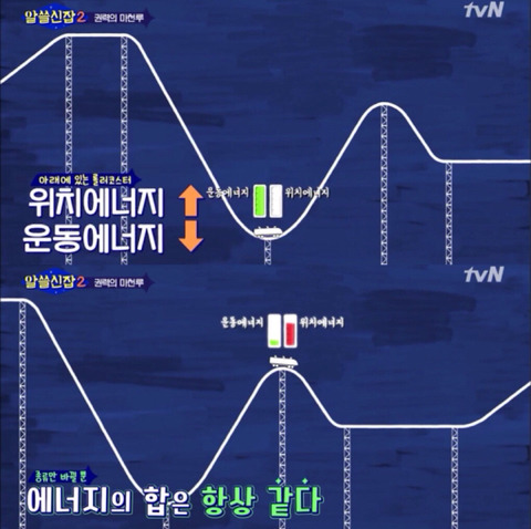 [알쓸신잡2] 진시황과 파라오가 싸우면 누가 이길까? (이과는 왜 긇애...?) | 인스티즈