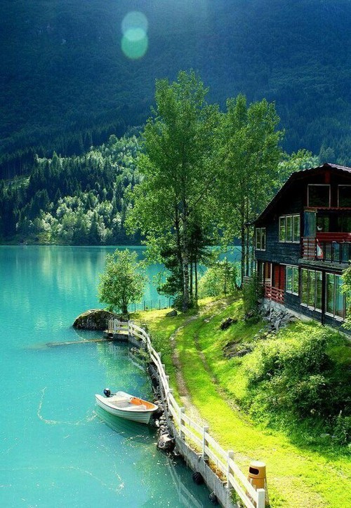 뉴질랜드가 지상낙원이라고 불리는 이유ㄷㄷㄷㄷㄷㄷㄷ. jpg | 인스티즈