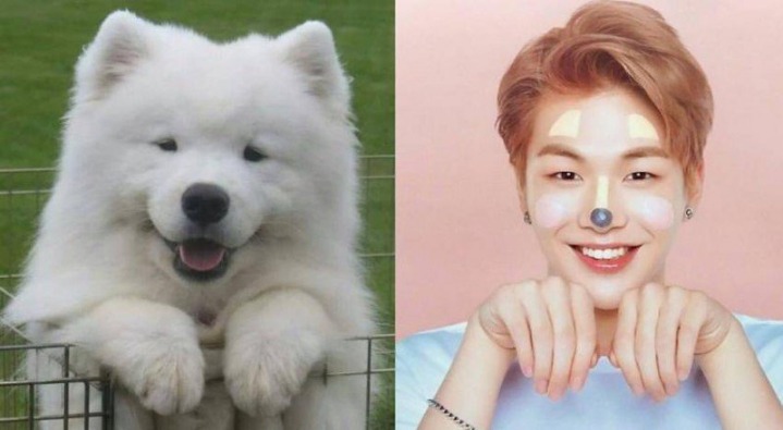 강아지중에 가장 사람닮은듯한 강다니엘 사진모음.jpg | 인스티즈