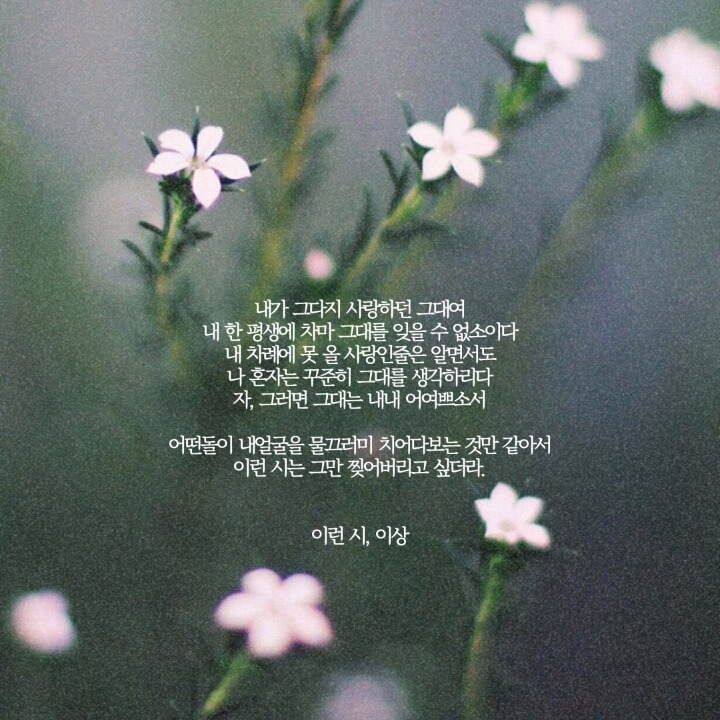 유독 이미지
