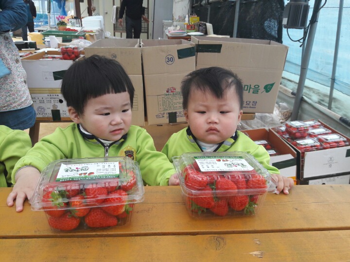꽃뫼농원 이미지