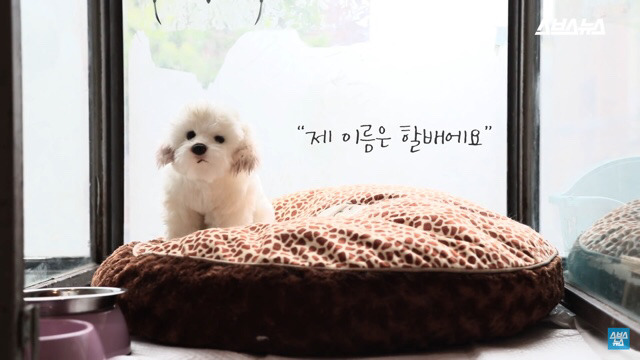  사람들이 홍대에서 인형을 뽑다 우는 이유는? | 인스티즈