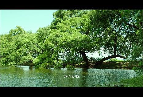 마지막 기생의 숨겨진 이야기 ＜영화＞ 해어화 10 | 인스티즈