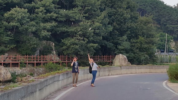 스테이회천 이미지