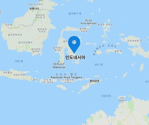  한국이 미국, UAE 다음으로 인도네시아에 진단키트를 보낸 이유 | 인스티즈