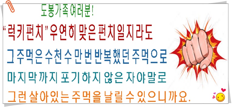 럭키펀치 이미지