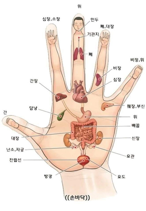 알아두면 좋은 손 지압법 | 인스티즈