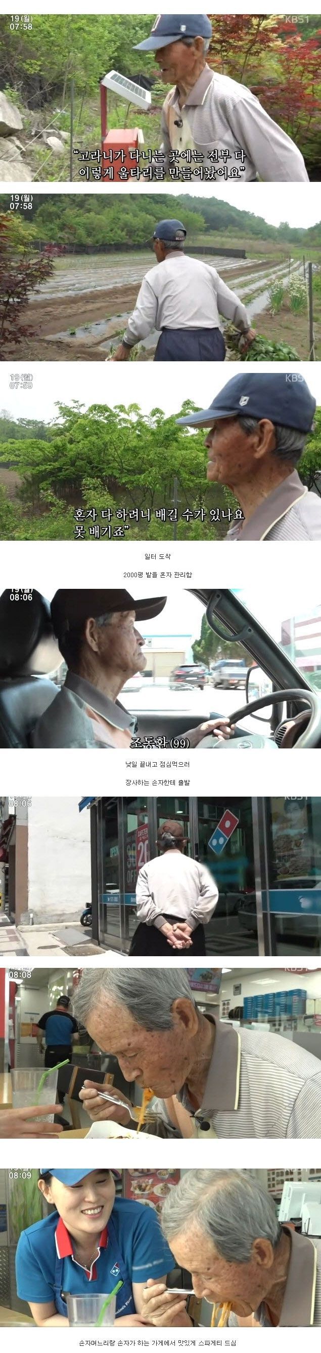 99세 할아버지의 하루 일과 | 인스티즈