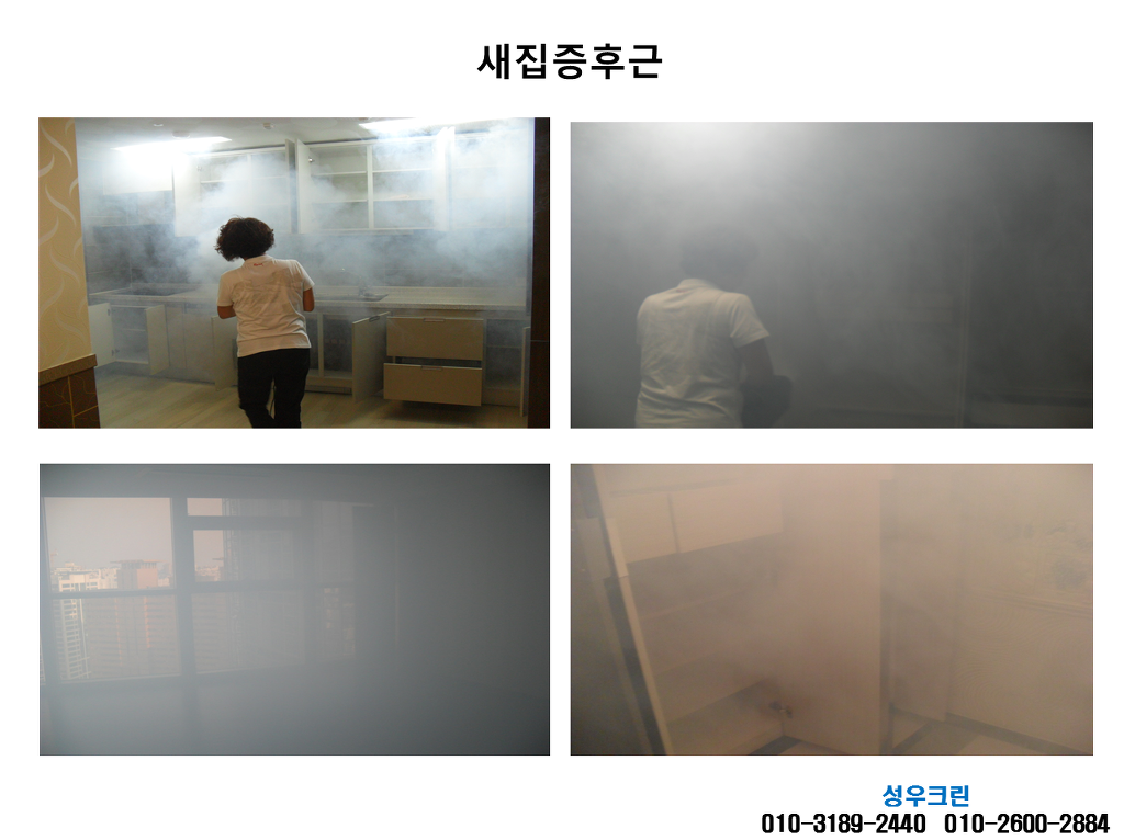 수크린 이미지