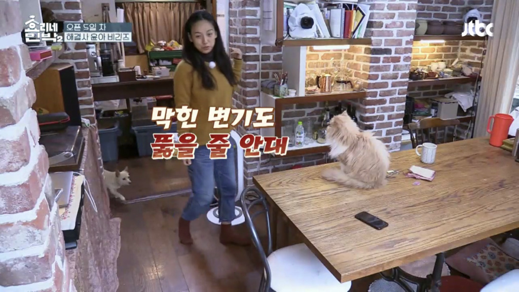 [효리네민박2] 뚫어뻥 없이 변기 뚫는 알바생 윤아 | 인스티즈