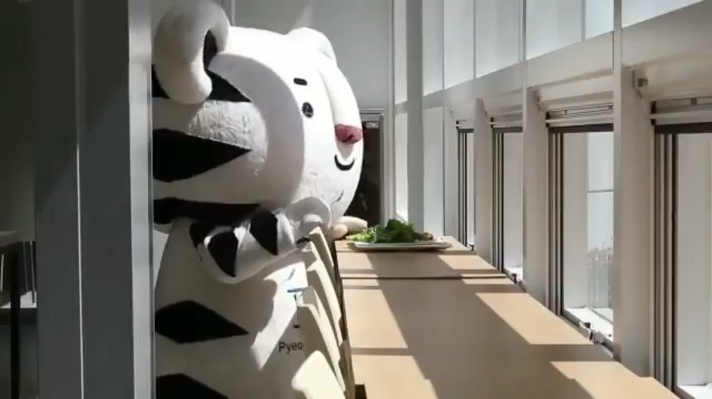 덩치땜에 혼밥할수밖에 없는 수호랑 | 인스티즈