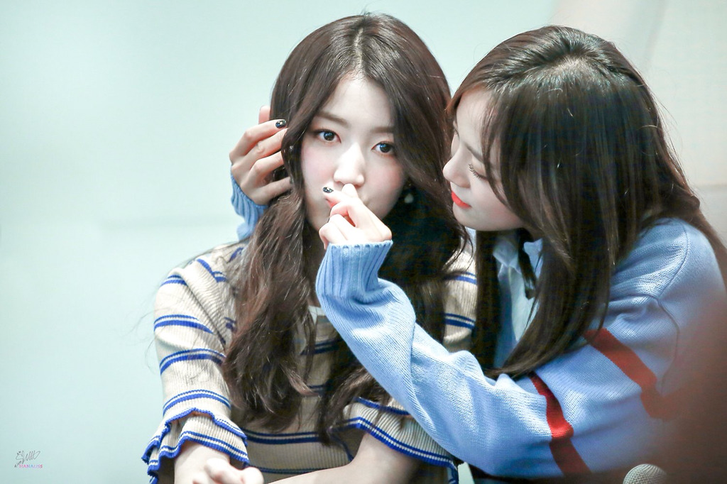 [구구단] 점심은 뭘로 먹을까 고민이되서 하나 | 인스티즈