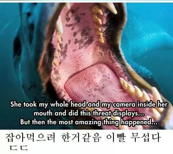 네셔널 지오그래픽 레전드 사건 | 인스티즈