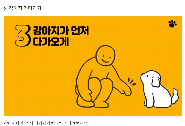 처음 만난 강아지와 인사하는 방법 | 인스티즈