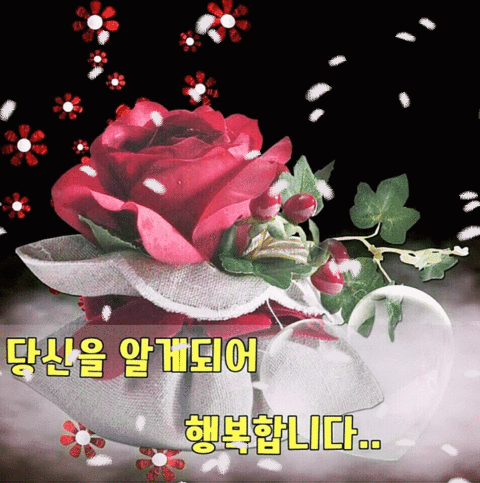 새해 복 많이 받으세요,,8 (새해 인사 카드 모음).jpgif | 인스티즈