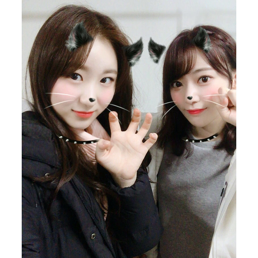 [아이즈원] 공식 인스타 업데이트(Feat.채연, 사쿠라) | 인스티즈
