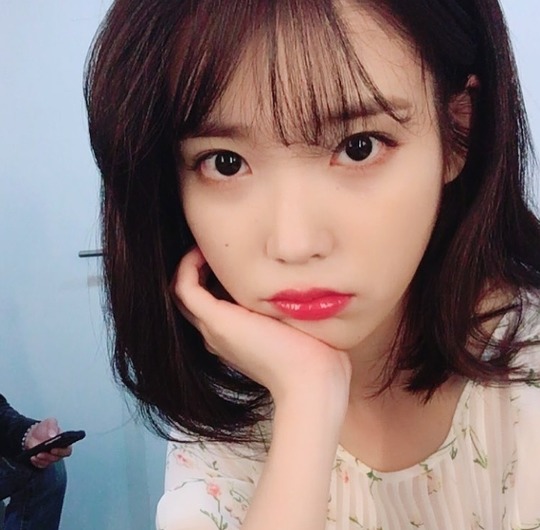 아이유 | 인스티즈