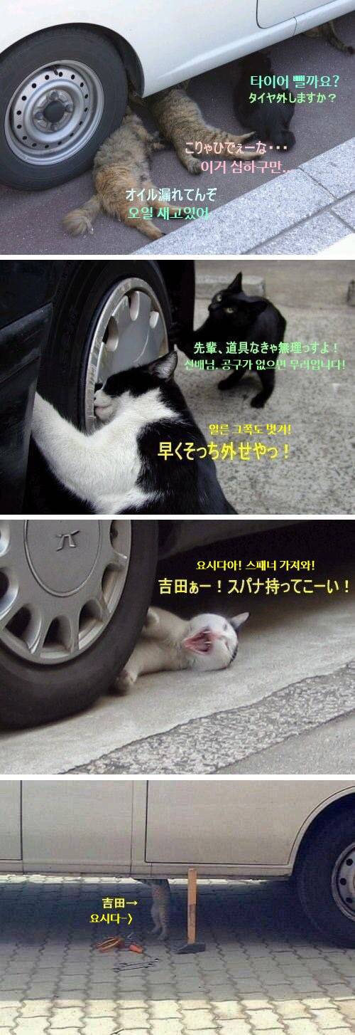 정비소의 그녀석들 | 인스티즈