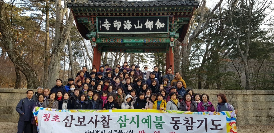 법인삼보 이미지