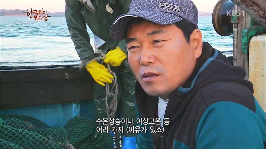 한국인의 밥상 - 인생이 허기질 때 장도로 가라 | 인스티즈