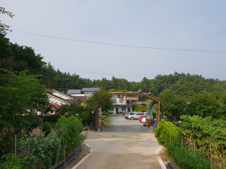 솔바다이야기 이미지