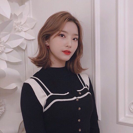 새롬 이미지