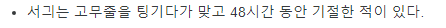 트위치에서 가장 재미있는 서긔 시리즈 모음.txt | 인스티즈
