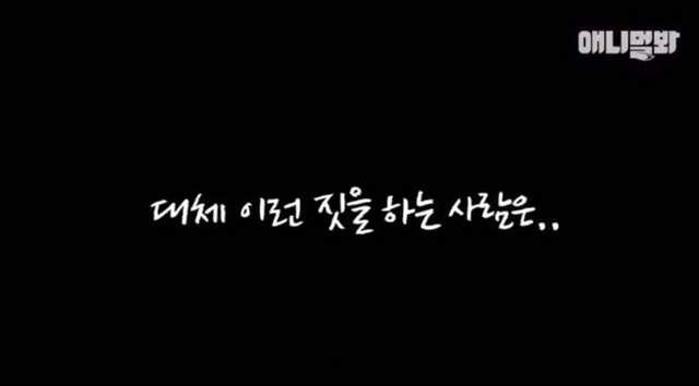 고양이 공장도 없애야됨 | 인스티즈