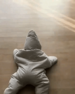 대형 불가사리.gif | 인스티즈